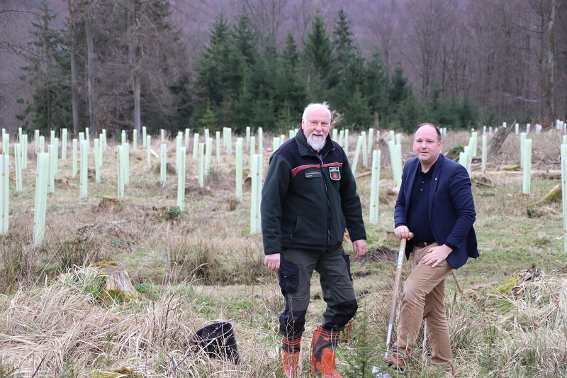 200.000 Bäume für den Stadtforst Blomberg