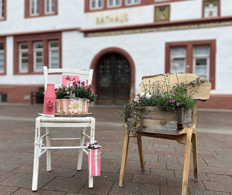 Wettbewerb um Nelken und Stühle