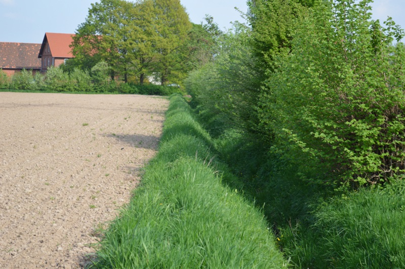 BUND Lippe appelliert an Kommunen, die regionalen Ursachen von Hochwasserereignissen in Angriff zu nehmen