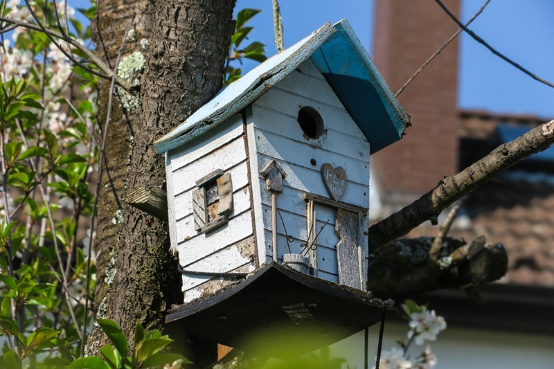 Mehr Biodiversität an Haus und Hof