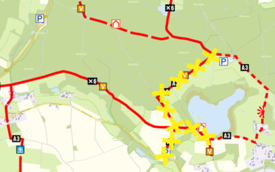 Bauarbeiten zum langfristigen Erhalt des Norderteich starten Mitte August – in Vorbereitung werden ab kommenden Dienstag, 6. August 2024, Bäume gefällt