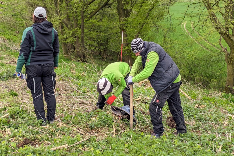 »Lippe pflanzt« knackt die Marke von 110.000 Euro – Sieben Zukunftswälder werden mit den Spenden aufgeforstet