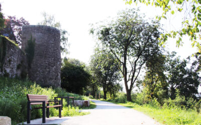 Erster Abschnitt Weinbergweg wieder geöffnet