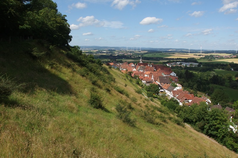 Büsche am Schwalenberger Burgberg werden stellenweise entfernt