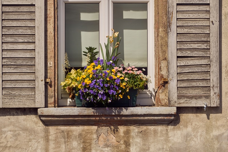 Herbstfarben im Blumenkasten