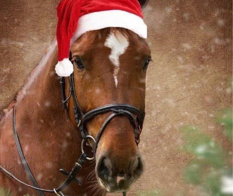 Weihnachtsreiten in Donop