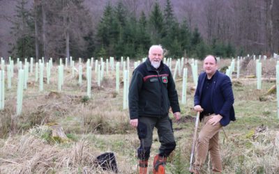 200.000 Bäume für den Stadtforst Blomberg