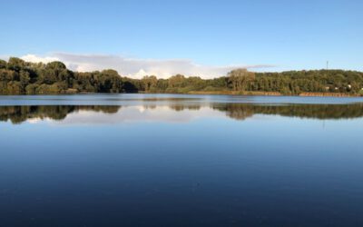 Wanderweg am Norderteich wird instandgesetzt