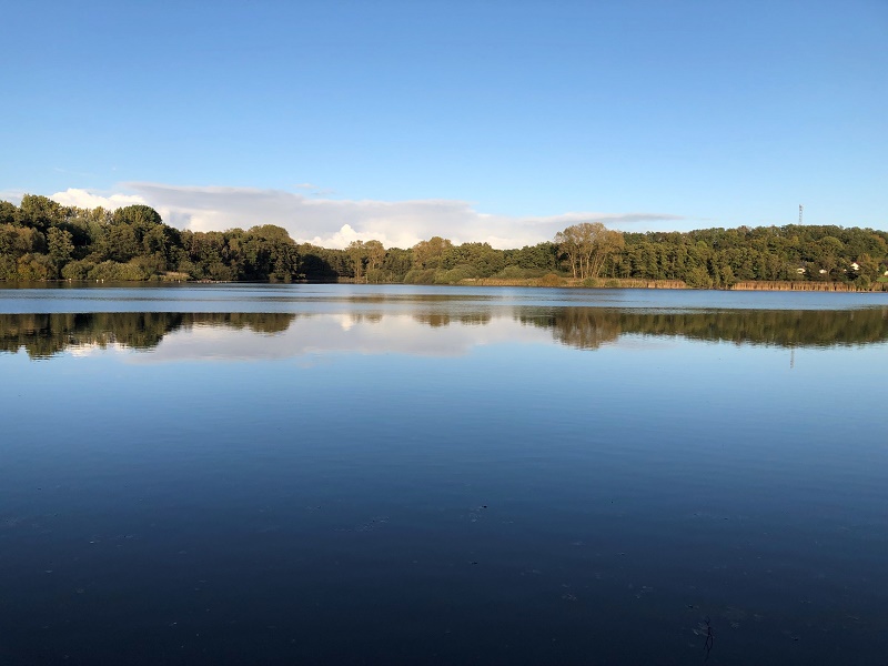 Wanderweg am Norderteich wird instandgesetzt