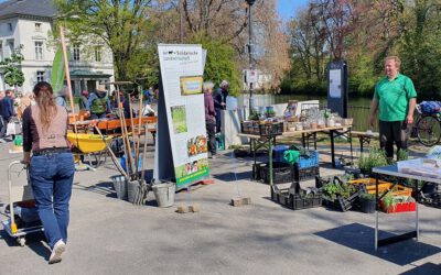 Saatgut- und Pflanzentauschbörse mit bunten Aktionen