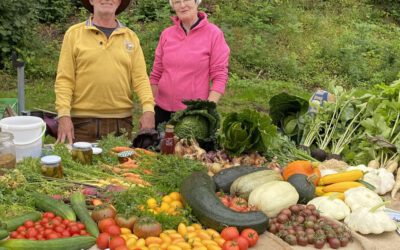 Solidarische Landwirtschaft erleben