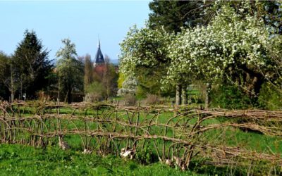 Vortrag Nieheimer Flechthecken