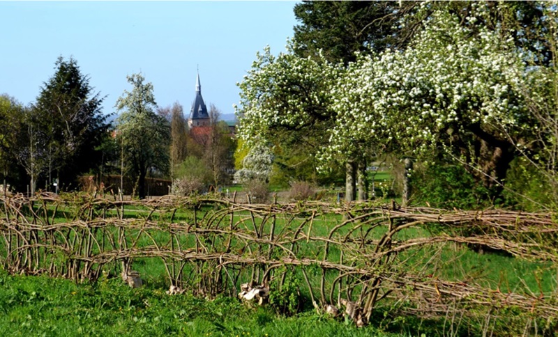 Vortrag Nieheimer Flechthecken