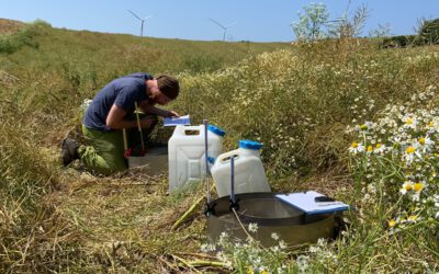 Starkregen im Visier: Studierende erforschen Bodeneigenschaften im Kreis Höxter