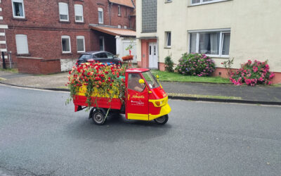 Impressionen vom Blumencorso