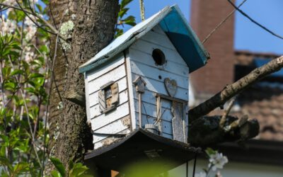 Mehr Biodiversität an Haus und Hof