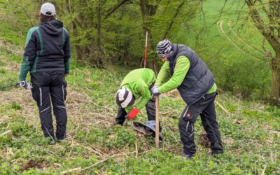 »Lippe pflanzt« knackt die Marke von 110.000 Euro – Sieben Zukunftswälder werden mit den Spenden aufgeforstet