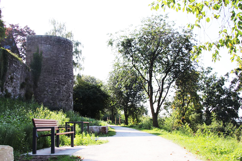 Erster Abschnitt Weinbergweg wieder geöffnet