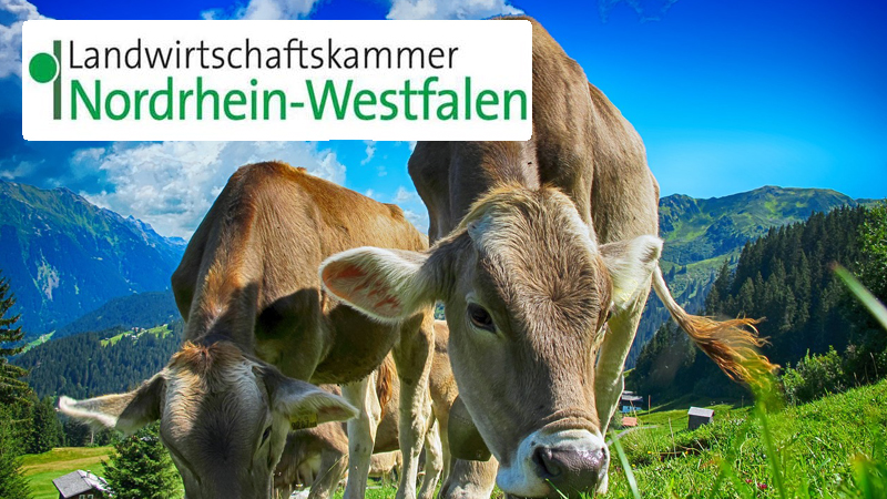 Jetzt Tierzahlen melden