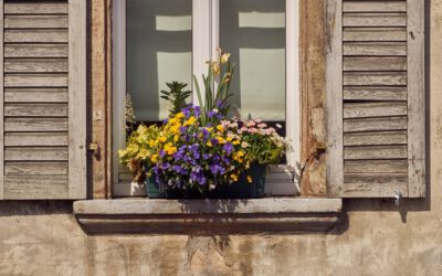 Herbstfarben im Blumenkasten