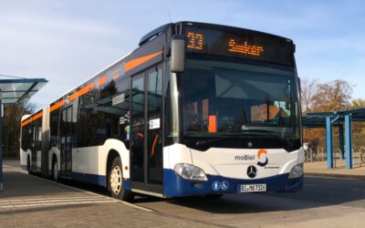 Mit Bus und Bahn an Weihnachten und Silvester unterwegs