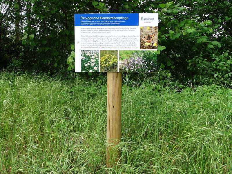 Einladung zum Vortrag „Was lebt denn da? Insektenmonitoring an Straßenrändern“