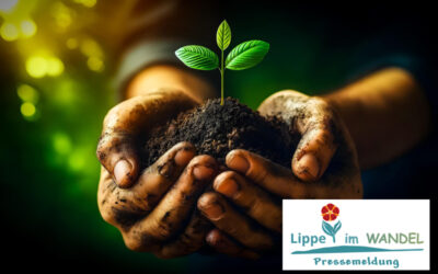 Der Oktober in der WandelWerkstatt