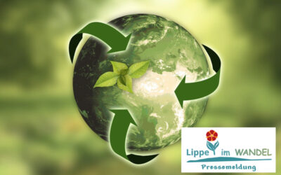 Der November in der WandelWerkstatt