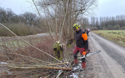 Landschaftspflege am Norderteich