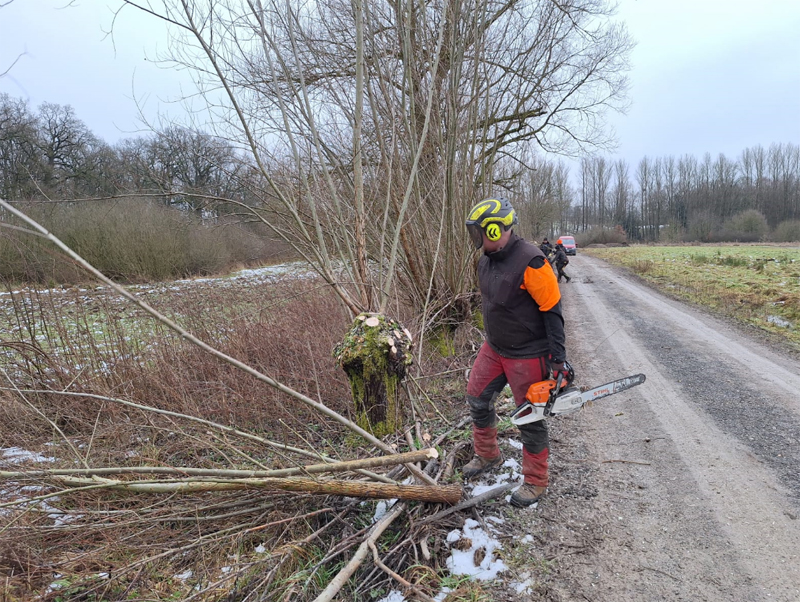 Landschaftspflege am Norderteich