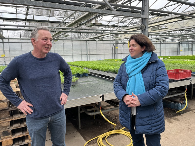 Energiepolitik bedroht regionale Gemüseproduktion im Kreis Lippe