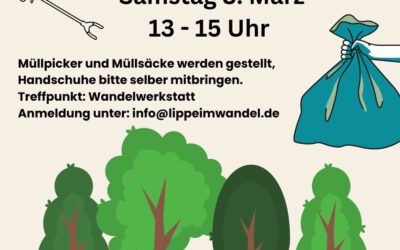 Clean Up Detmold