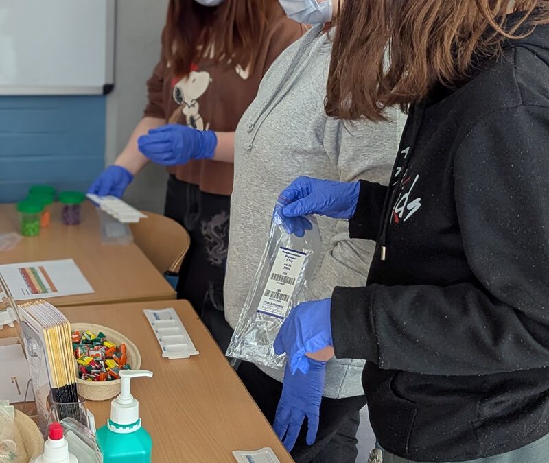 Berufemesse an der Sekundarschule Blomberg – Ein voller Erfolg!