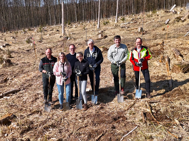 Wortmann fördert Aufforstung im Teutoburger Wald