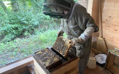 Naturerlebnisführungen der LTM starten von März bis Mai