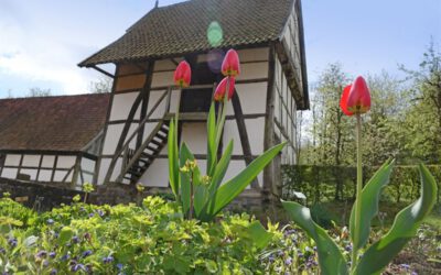 Osterferien im LWL-Freilichtmuseum Detmold