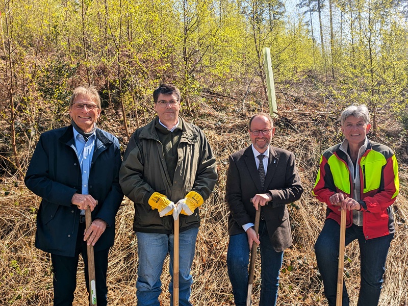 Aufforsten – für Wald, Klima und Wasser