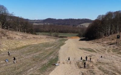 Ein Wald für die Zukunft – 14.000 Bäume für Barntrup