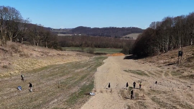 Ein Wald für die Zukunft – 14.000 Bäume für Barntrup
