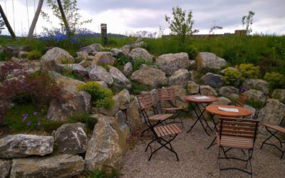 Vortrag und Workshop mit Tipps für den eigenen Garten