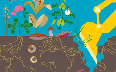 Klimawandel führt zu mehr Trockenperioden – Handeln ist dringend erforderlich