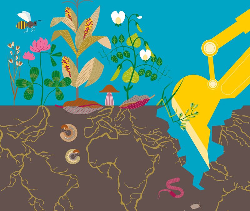 Klimawandel führt zu mehr Trockenperioden – Handeln ist dringend erforderlich