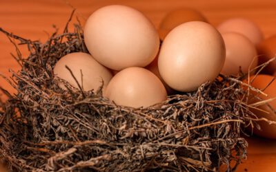 Eier waren im März 2025 um 2,4 Prozent teurer als ein Jahr zuvor