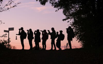 Fotografie, Familiengottesdienst und eintrittsfreier Tag
