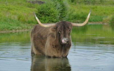 Kreis Lippe lädt zu geführten Wanderungen ein