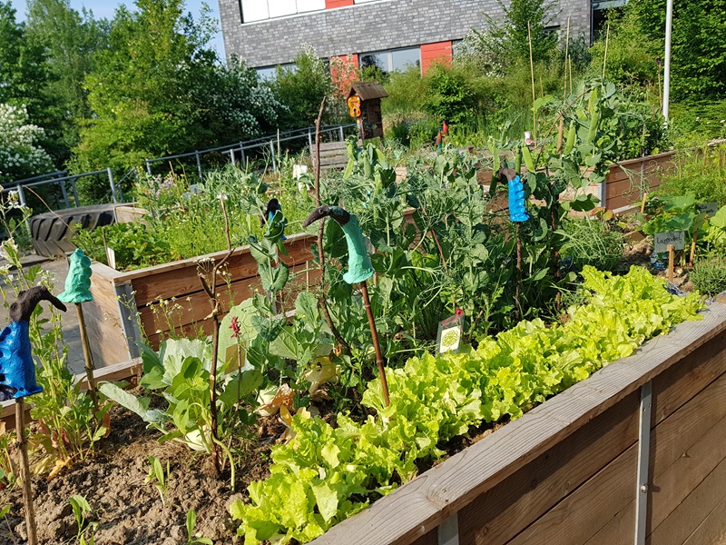 Topehlen-Schule in Lemgo lädt zum Garten-Erlebnis ein