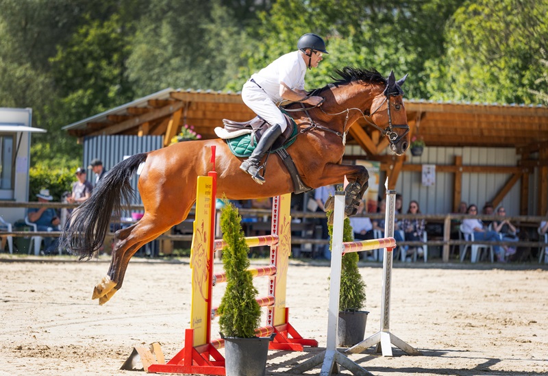 Thomas Tölke gewinnt das M Springen