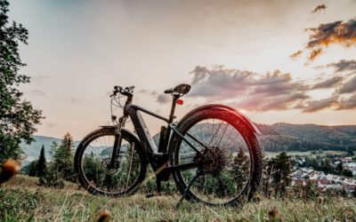 E-Bike, Pedelec und Co. – welches Fahrrad passt zu mir?