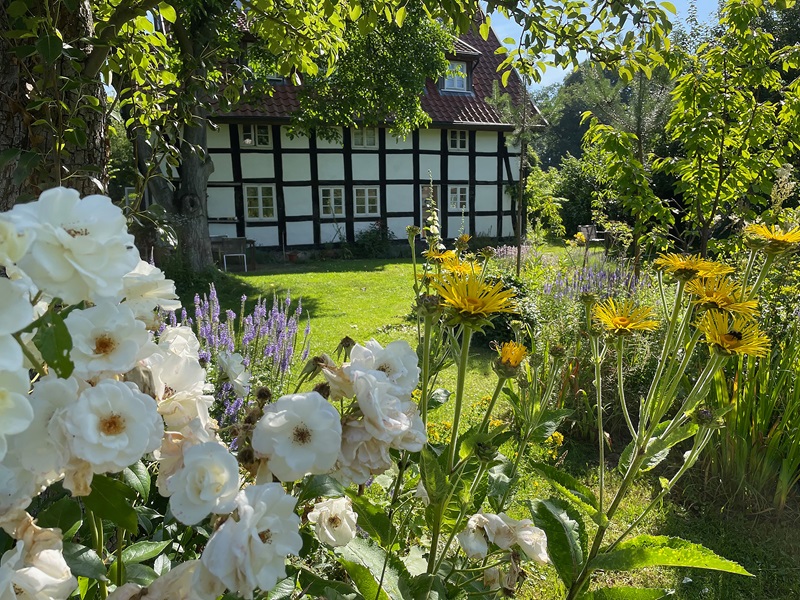 Offene Gärten in Lippe 14. und 15. Juni 2025
