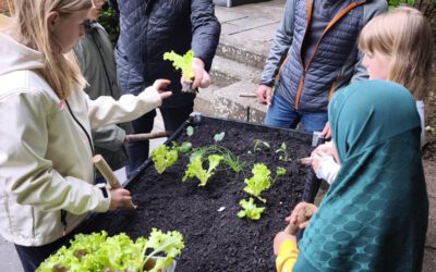 Grünes Klassenzimmer: Hochbeete für die Grundschule am Weinberg